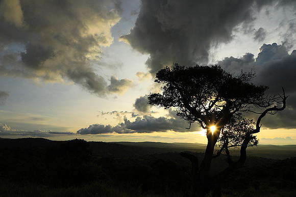 Sunset - Borana
