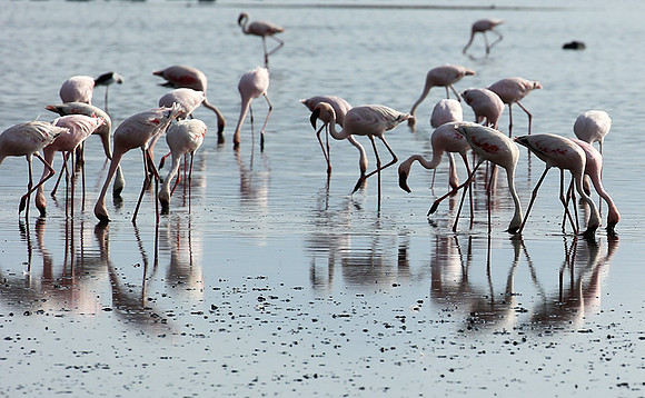 Lake Natron