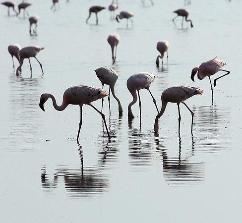 Lake Natron