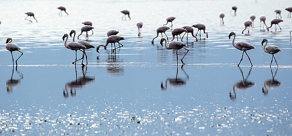 Lake Natron