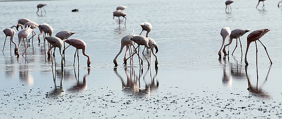 Lake Natron