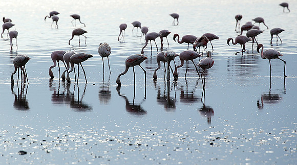 Lake Natron