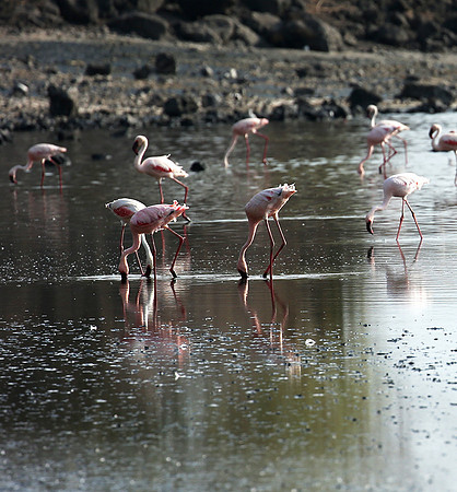 Lake Natron