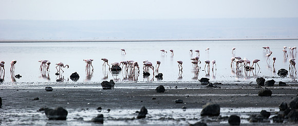 Lake Natron