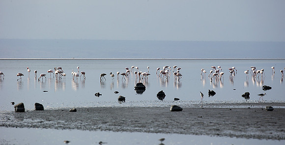 Lake Natron