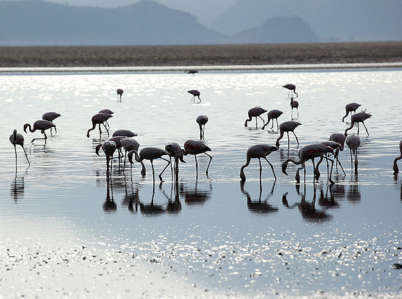 Lake Natron