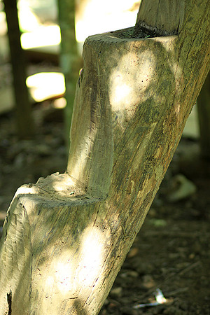 Wood carving - Laos