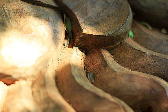 Wood carving - Laos
