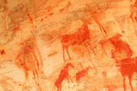 Rock paintings - West Coast - South Africa