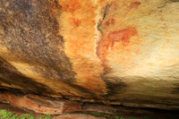 Rock paintings - West Coast - South Africa