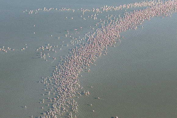 Helicopter flight over Sua Pan - Makgadikgadi
