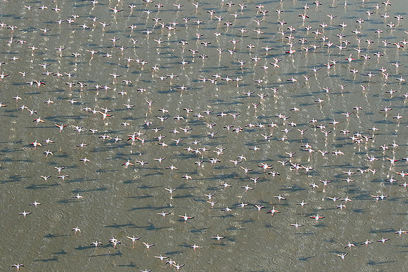 Helicopter flight over Sua Pan - Makgadikgadi