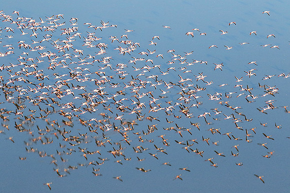 Helicopter flight over Sua Pan - Makgadikgadi