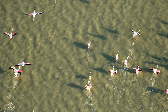 Helicopter flight over Sua Pan - Makgadikgadi