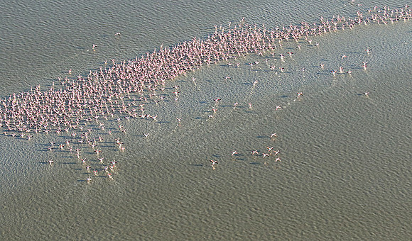 Helicopter flight over Sua Pan - Makgadikgadi