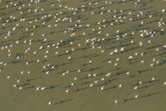 Helicopter flight over Sua Pan - Makgadikgadi