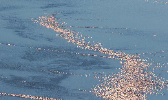 Helicopter flight over Sua Pan - Makgadikgadi