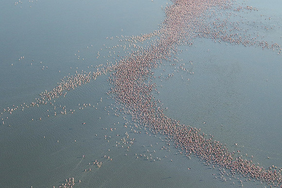 Helicopter flight over Sua Pan - Makgadikgadi