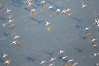Helicopter flight over Sua Pan - Makgadikgadi