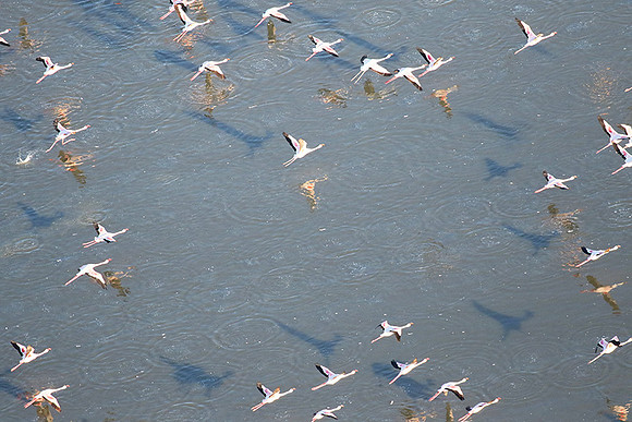 Helicopter flight over Sua Pan - Makgadikgadi