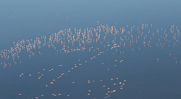 Helicopter flight over Sua Pan - Makgadikgadi