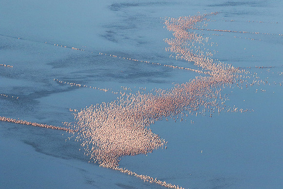 Helicopter flight over Sua Pan - Makgadikgadi