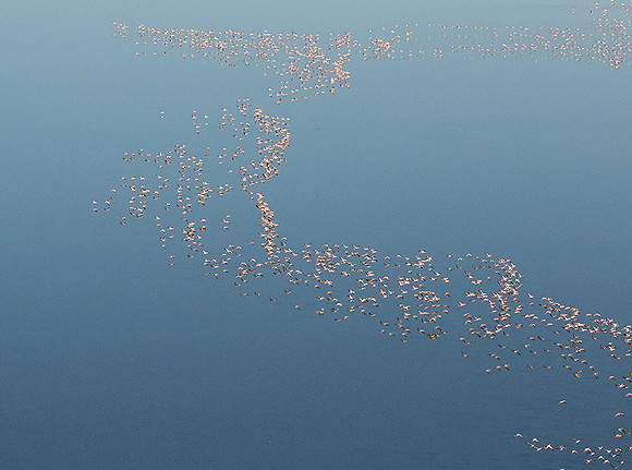 Helicopter flight over Sua Pan - Makgadikgadi