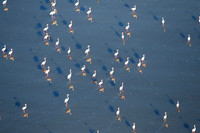 Helicopter flight over Sua Pan - Makgadikgadi