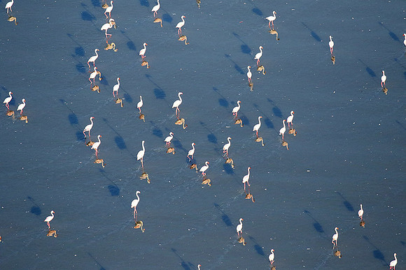 Helicopter flight over Sua Pan - Makgadikgadi