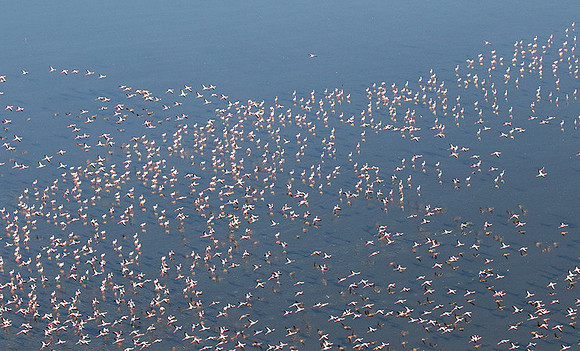 Helicopter flight over Sua Pan - Makgadikgadi