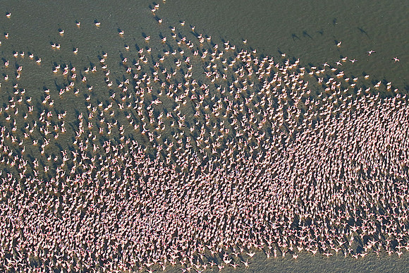 Helicopter flight over Sua Pan - Makgadikgadi