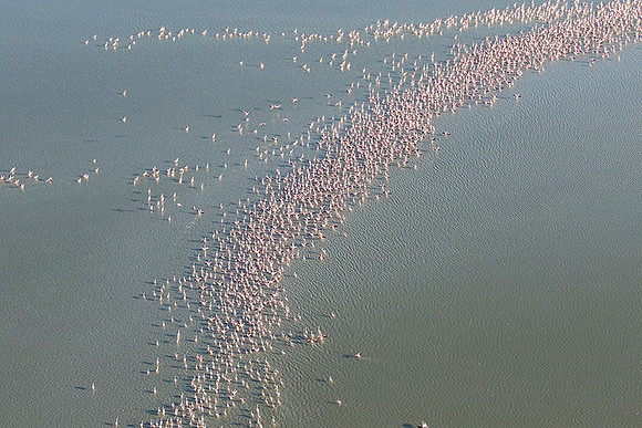 Helicopter flight over Sua Pan - Makgadikgadi