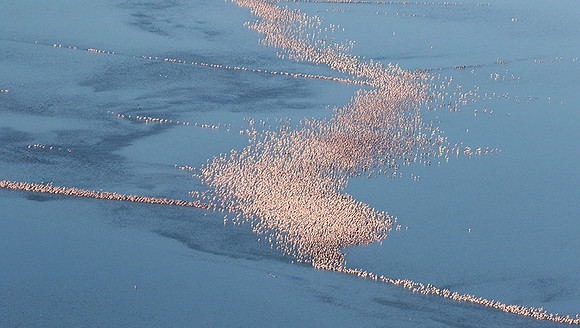 Helicopter flight over Sua Pan - Makgadikgadi