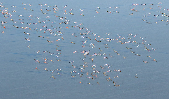 Helicopter flight over Sua Pan - Makgadikgadi