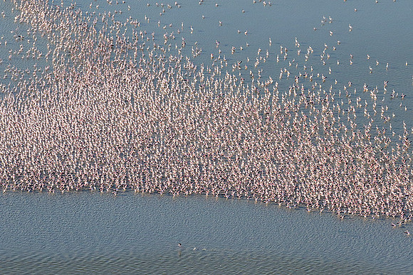 Helicopter flight over Sua Pan - Makgadikgadi