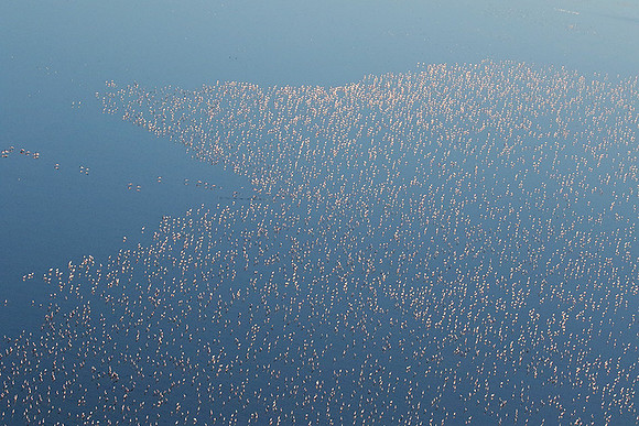 Helicopter flight over Sua Pan - Makgadikgadi