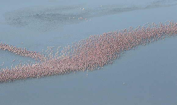 Helicopter flight over Sua Pan - Makgadikgadi