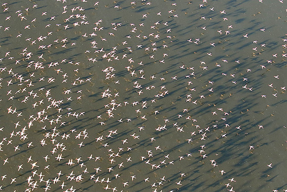 Helicopter flight over Sua Pan - Makgadikgadi