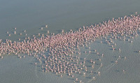 Helicopter flight over Sua Pan - Makgadikgadi