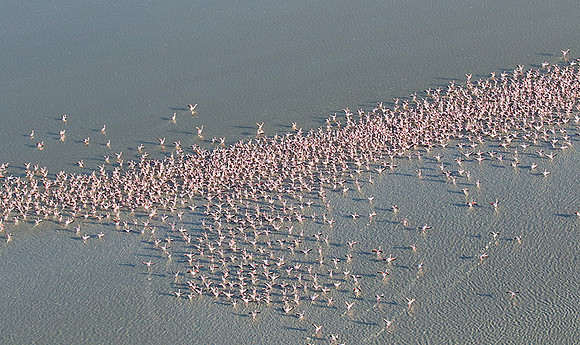 Helicopter flight over Sua Pan - Makgadikgadi