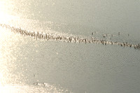 Helicopter flight over Sua Pan - Makgadikgadi