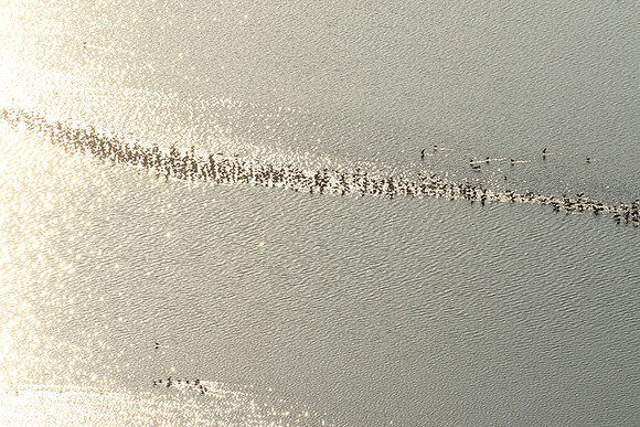 Helicopter flight over Sua Pan - Makgadikgadi