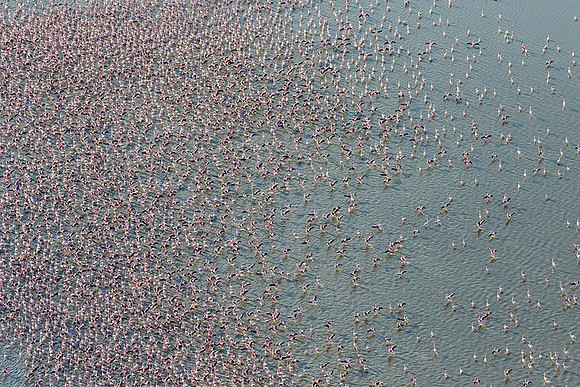 Helicopter flight over Sua Pan - Makgadikgadi