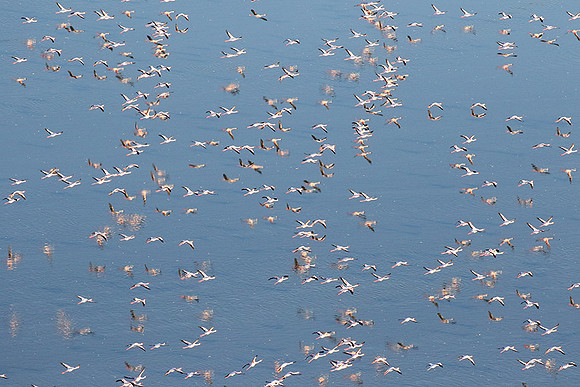 Helicopter flight over Sua Pan - Makgadikgadi
