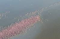 Helicopter flight over Sua Pan - Makgadikgadi