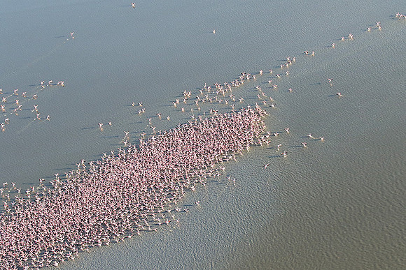 Helicopter flight over Sua Pan - Makgadikgadi