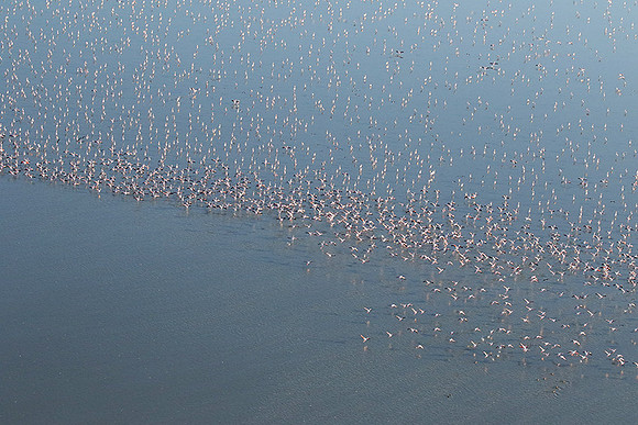 Helicopter flight over Sua Pan - Makgadikgadi