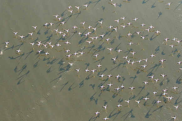Helicopter flight over Sua Pan - Makgadikgadi