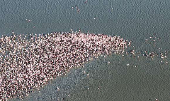 Helicopter flight over Sua Pan - Makgadikgadi