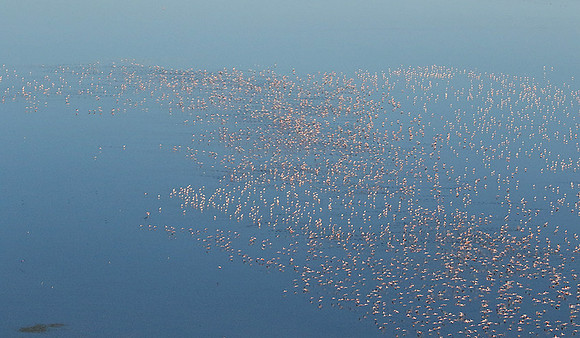 Helicopter flight over Sua Pan - Makgadikgadi